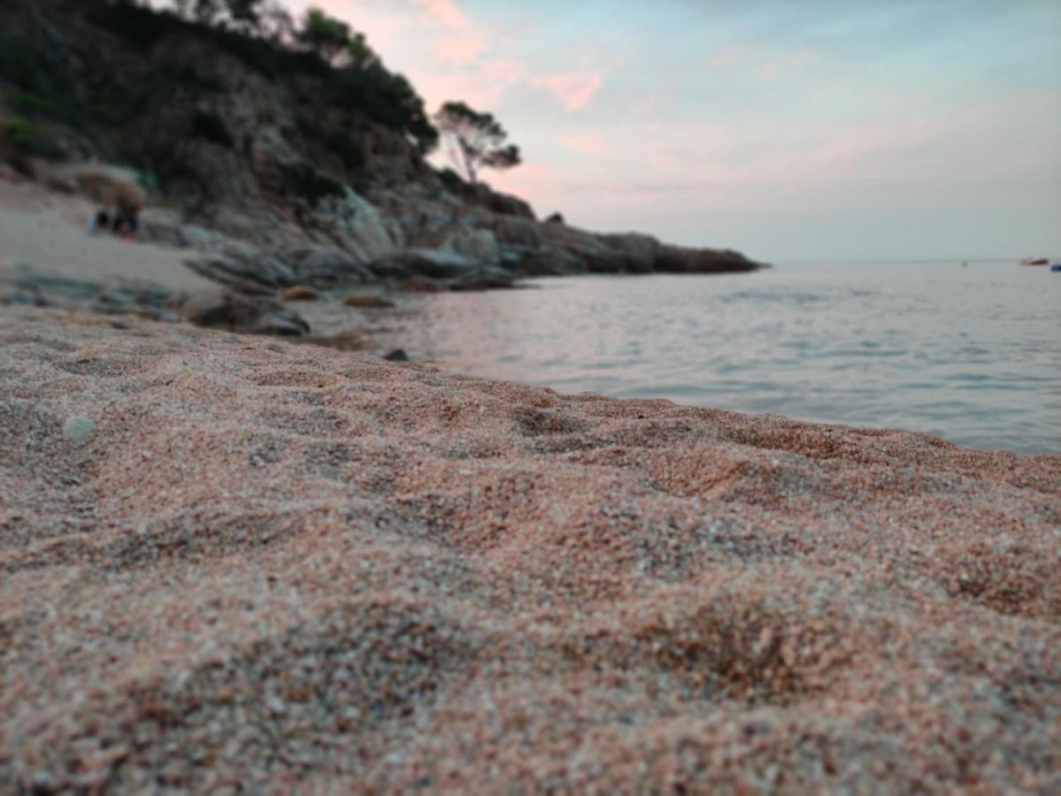 Apartamento Con Piscina - Tossa - Magnificas Vistas Al Mar Gerona Buitenkant foto